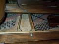 Photo of Mason & Hamlin Concert Grand #10813
