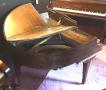 Photo of Wurlitzer Butterfly Grand